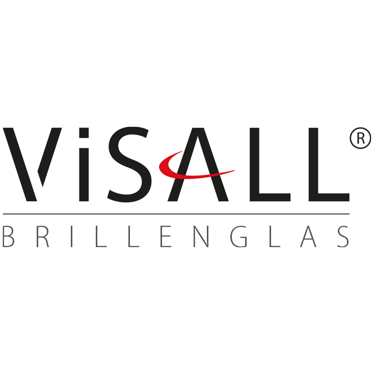 Visall Logo